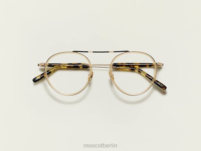 Brille 44ZR248 Zitrone/Schildkröte Moscot pupik