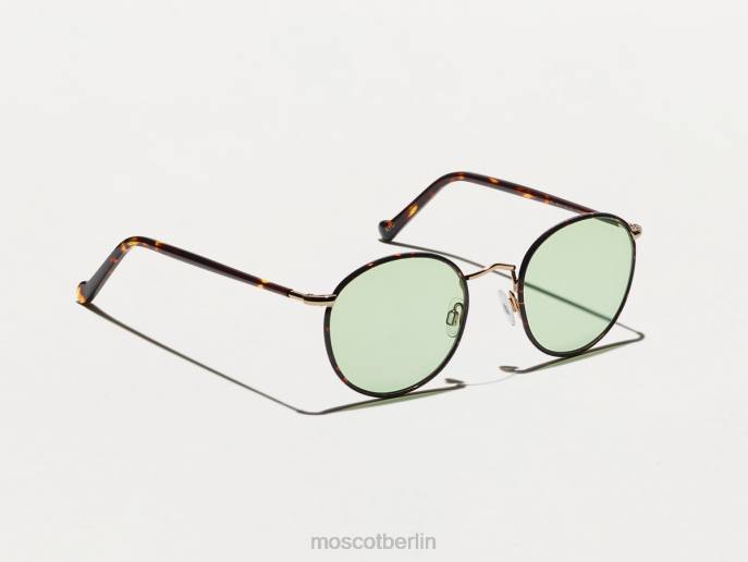 Brille 44ZR785 Rampenlicht Moscot Zev-Schildkröte mit maßgeschneiderten Farbtönen