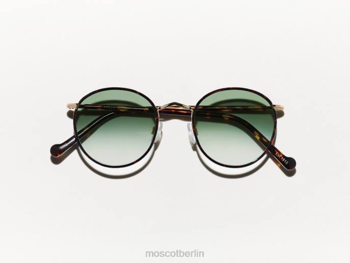 Brille 44ZR804 g-15 verblassen Moscot Zev-Schildkröte mit maßgeschneiderten Farbtönen