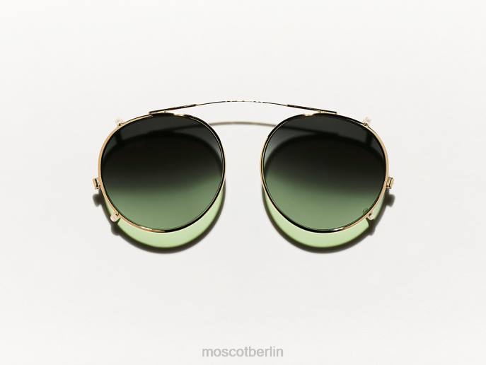 Brille 44ZR814 Waldholz Moscot Clipzen Gold mit maßgeschneiderten Farbtönen