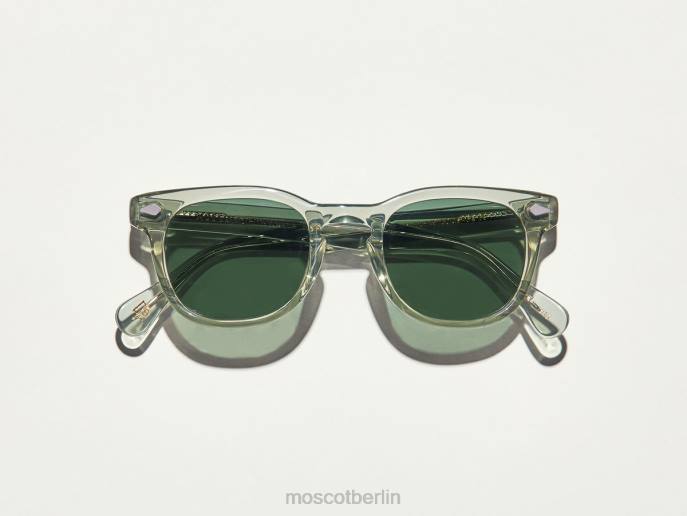 Sonnenbrille 44ZR419 Salbei Moscot Gelt Sonne