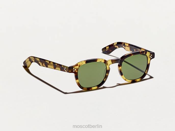 Sonnenbrille 44ZR467 Erbe-Schildkröte Moscot Momza-Sonne
