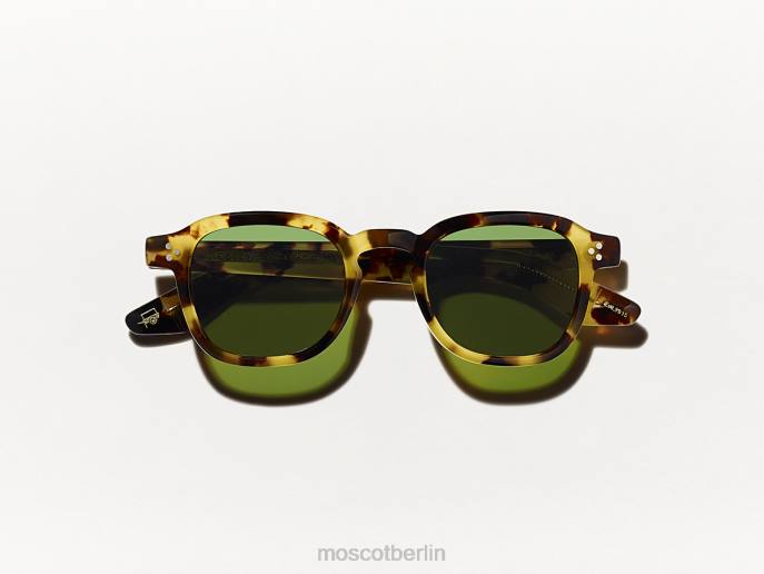 Sonnenbrille 44ZR467 Erbe-Schildkröte Moscot Momza-Sonne
