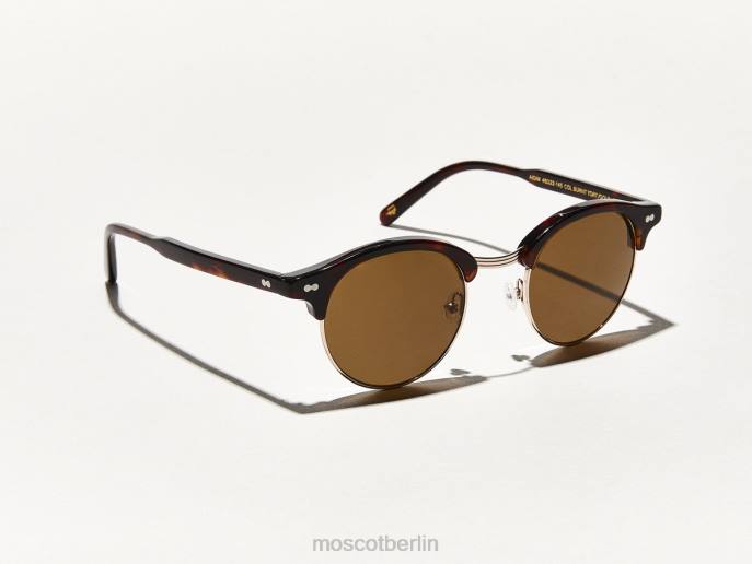 Sonnenbrille 44ZR537 verbrannte Schildkröte/Gold Moscot Aidim Sonne