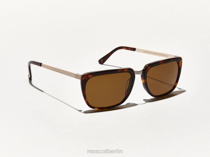 Sonnenbrille 44ZR597 verbrannte Schildkröte/Gold Moscot kluge Sonne