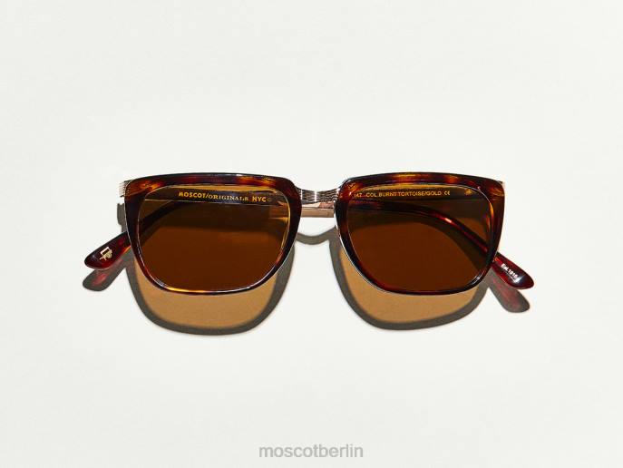 Sonnenbrille 44ZR597 verbrannte Schildkröte/Gold Moscot kluge Sonne