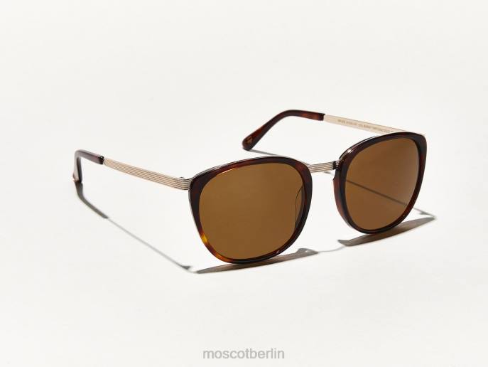Sonnenbrille 44ZR605 verbrannte Schildkröte/Gold Moscot rohe Sonne